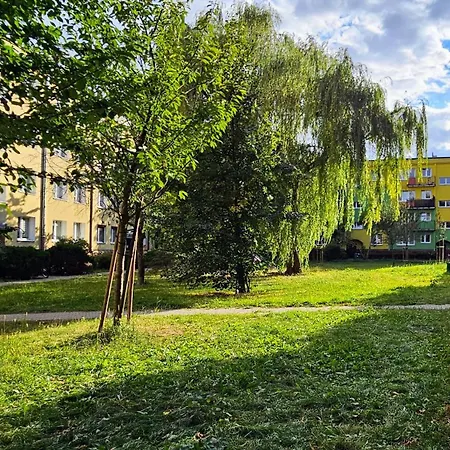 Enso Space Wola Apartament *